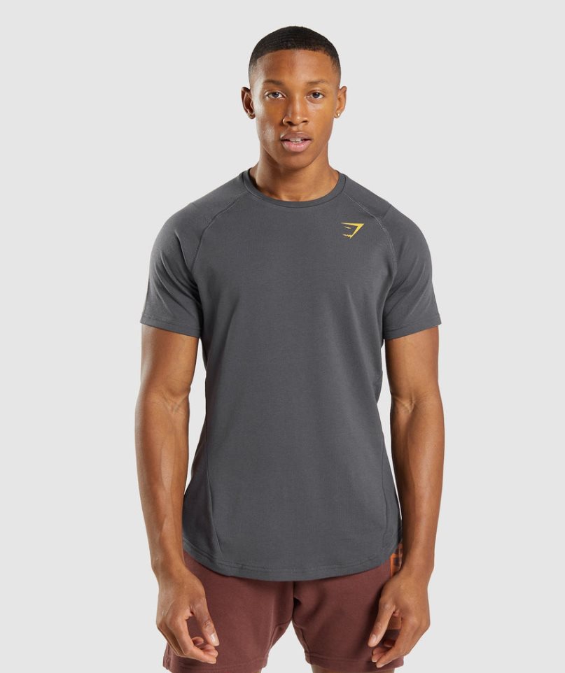 Men's Gymshark Bold T-Shirts Dark Grey | NZ 3YCESM